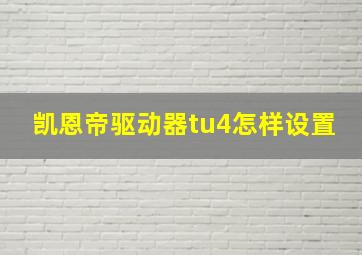 凯恩帝驱动器tu4怎样设置