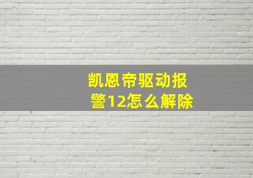 凯恩帝驱动报警12怎么解除