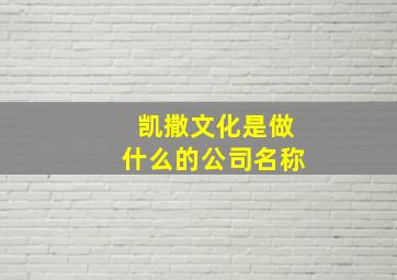 凯撒文化是做什么的公司名称