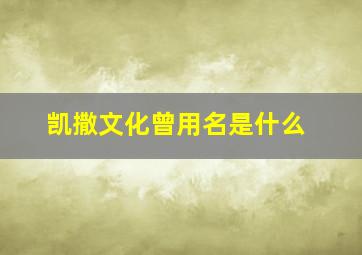 凯撒文化曾用名是什么