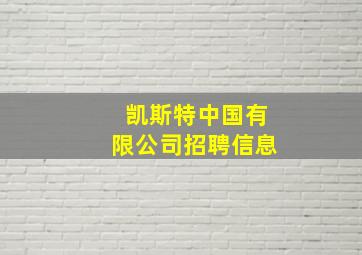 凯斯特中国有限公司招聘信息