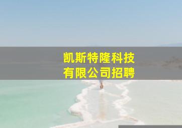 凯斯特隆科技有限公司招聘