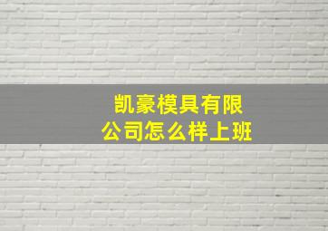 凯豪模具有限公司怎么样上班