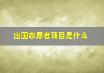 出国志愿者项目是什么