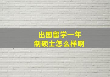 出国留学一年制硕士怎么样啊