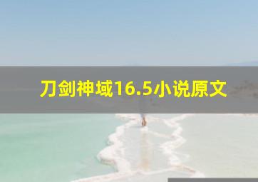 刀剑神域16.5小说原文