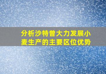 分析沙特曾大力发展小麦生产的主要区位优势