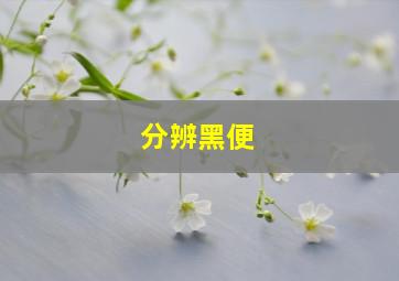 分辨黑便