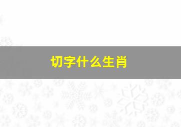 切字什么生肖