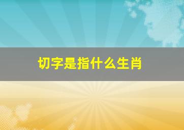 切字是指什么生肖