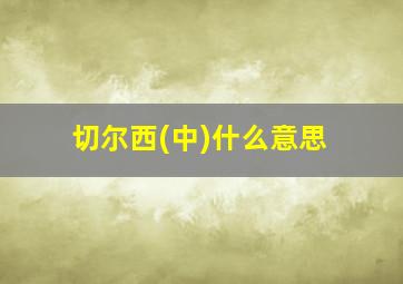 切尔西(中)什么意思