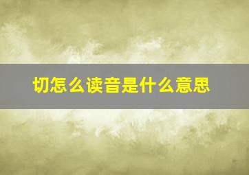 切怎么读音是什么意思