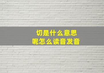 切是什么意思呢怎么读音发音