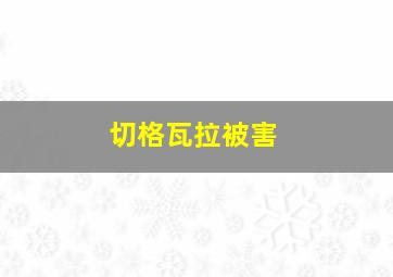 切格瓦拉被害