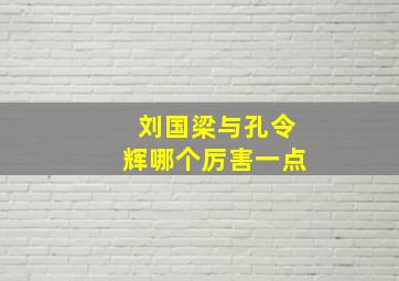 刘国梁与孔令辉哪个厉害一点