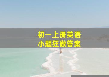 初一上册英语小题狂做答案