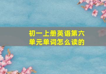 初一上册英语第六单元单词怎么读的