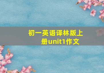 初一英语译林版上册unit1作文