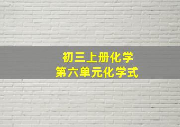 初三上册化学第六单元化学式