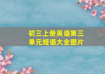 初三上册英语第三单元短语大全图片