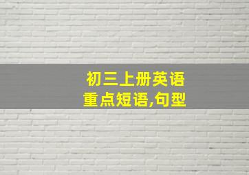 初三上册英语重点短语,句型