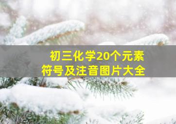 初三化学20个元素符号及注音图片大全