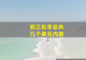 初三化学总共几个单元内容