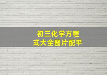 初三化学方程式大全图片配平