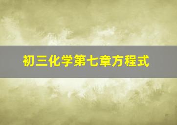 初三化学第七章方程式