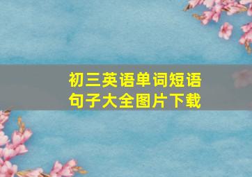 初三英语单词短语句子大全图片下载