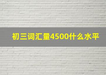 初三词汇量4500什么水平