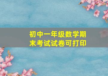 初中一年级数学期末考试试卷可打印