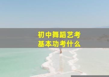 初中舞蹈艺考基本功考什么