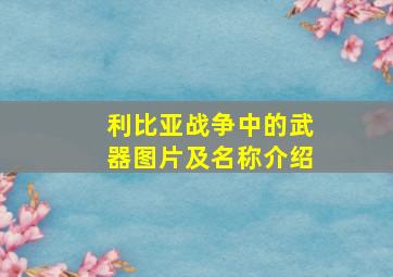 利比亚战争中的武器图片及名称介绍