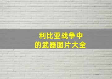 利比亚战争中的武器图片大全