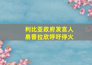 利比亚政府发言人易普拉欣呼吁停火