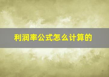 利润率公式怎么计算的