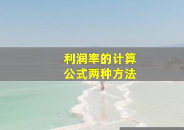 利润率的计算公式两种方法