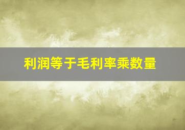 利润等于毛利率乘数量