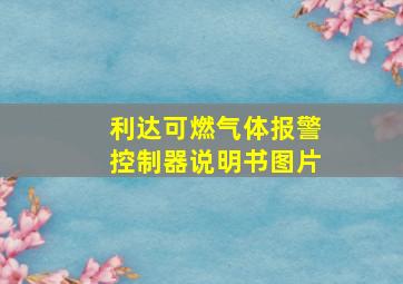 利达可燃气体报警控制器说明书图片