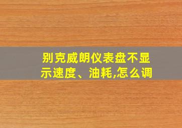 别克威朗仪表盘不显示速度、油耗,怎么调