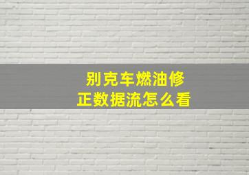 别克车燃油修正数据流怎么看