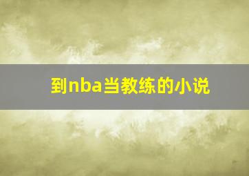 到nba当教练的小说