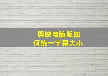 剪映电脑版如何统一字幕大小