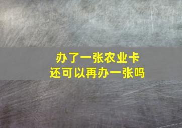 办了一张农业卡还可以再办一张吗