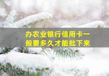 办农业银行信用卡一般要多久才能批下来