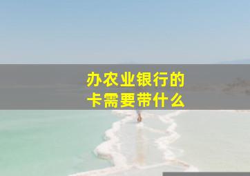 办农业银行的卡需要带什么