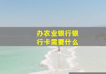 办农业银行银行卡需要什么