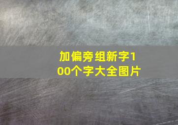 加偏旁组新字100个字大全图片