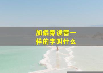 加偏旁读音一样的字叫什么